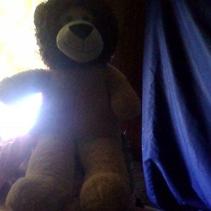 big lion stuffed animal